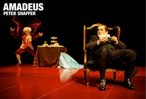 amadeus1